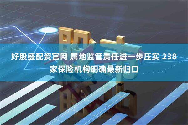 好股盛配资官网 属地监管责任进一步压实 238家保险机构明确最新归口